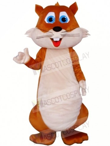 High Quality Chubby Squirrel Mascot Costumes 