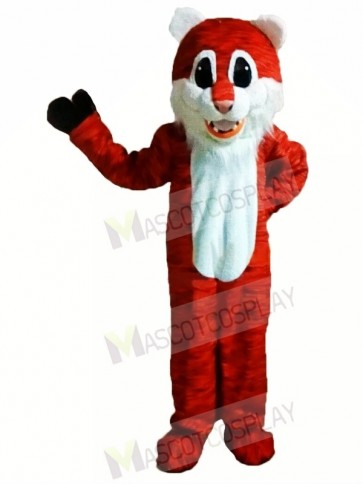 Cute New Tiger Mascot Costumes 