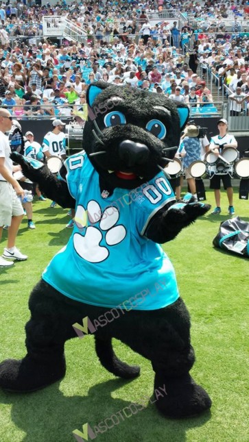 Sir Purr Mascot Costumes of the Carolina Panthers of the National Football League Cheerleaders