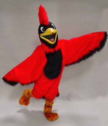 New Cardinal Mascot Costume