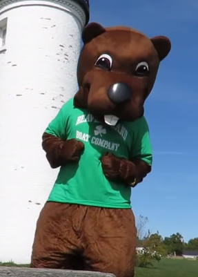 Barney Beaver Mascot Costumes
