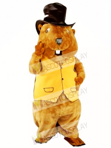 Mr. Beaver Mascot Costume