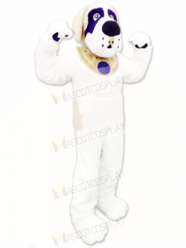 Lovely St. Bernard Dog Mascot Costume