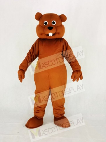 Cute Brown Nutty Squirrel Mascot Costume College	
