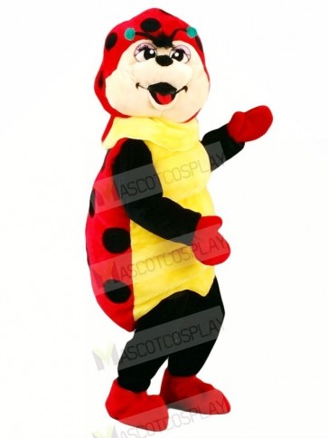 Cute Ladybug Mascot Costumes Cartoon	