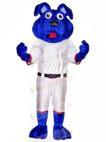 Blue Dog with White Suit Mascot Costumes Animal	