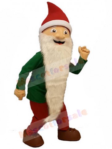 Dwarfs Elf mascot costume