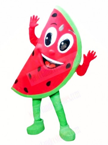 Watermelon Mascot Costume  
