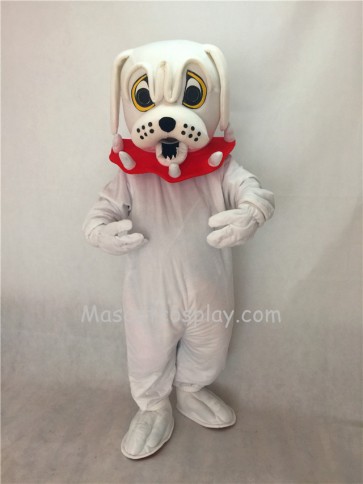 Cute White Spike Dog with Red Collar Adult Mascot Costume 