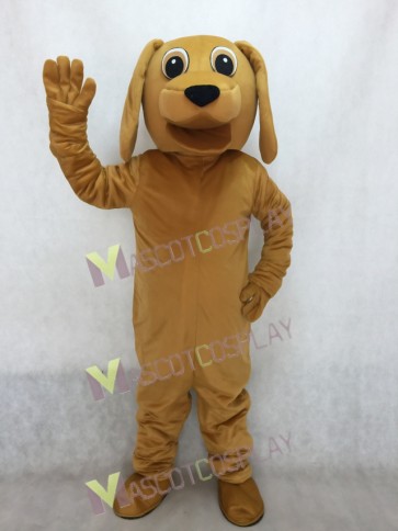 Lovely Golden Dog Mascot Adult Costume