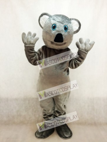 Koala Bear Mascot 