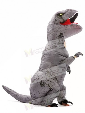 Grey Gray T-REX Dinosaur Inflatable Halloween Christmas Costumes for Kids