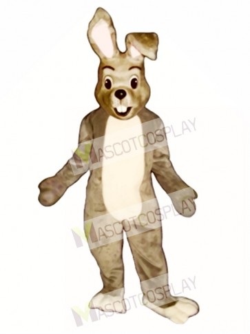 Easter Happy Bunny Rabbit Mascot Costume