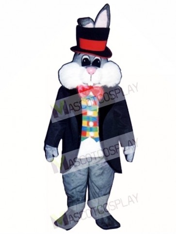 Cute Easter Bunny Rabbit In Hat Mascot Costume