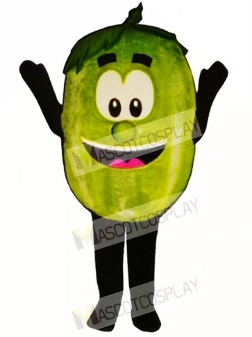 Wally Watermelon Mascot Costume