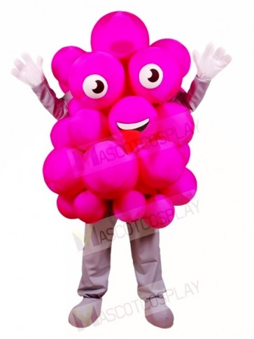 Pink Grapes Mascot Costumes Fruit