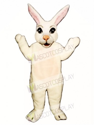 Easter Mr. Bunny Mascot Costume