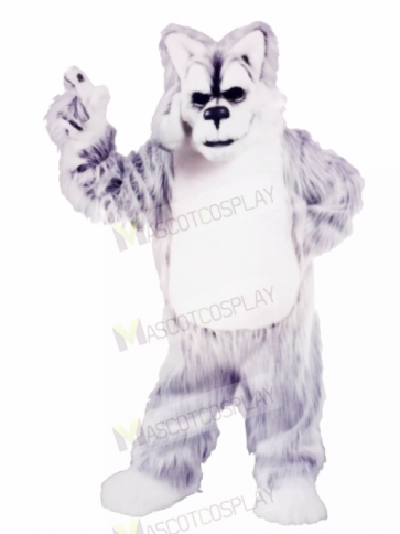 Grey and White Huskey Mascot Costumes Animal