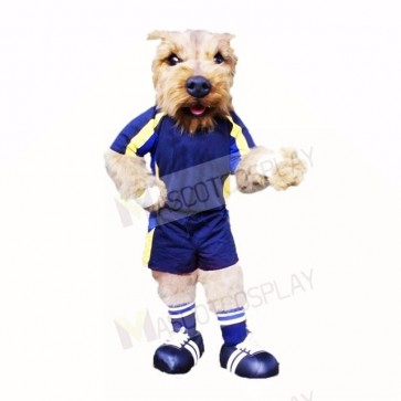 Football Dog With Blue T-shirt Mascot Costumes School