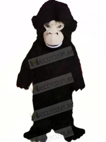 Fierce Black Gorilla Mascot Costumes Cheap