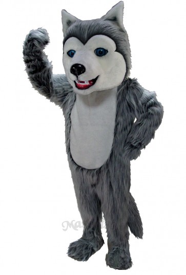 Grey Husky Dog Mascot Costume