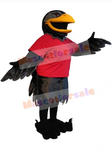 Raven mascot costume