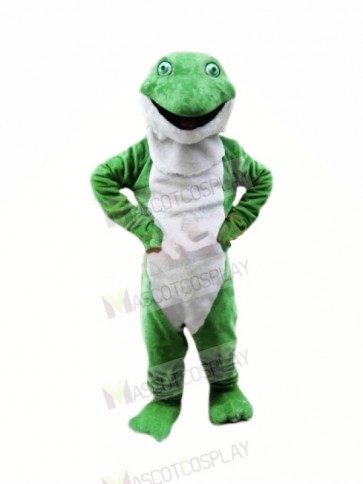 Plush Green Frog Mascot Costumes Cartoon