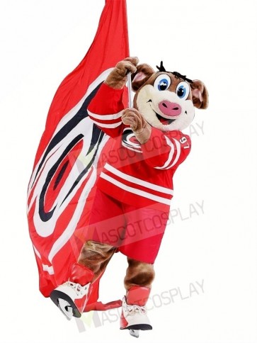 Hurricanes Stormy Hog Mascot Costume