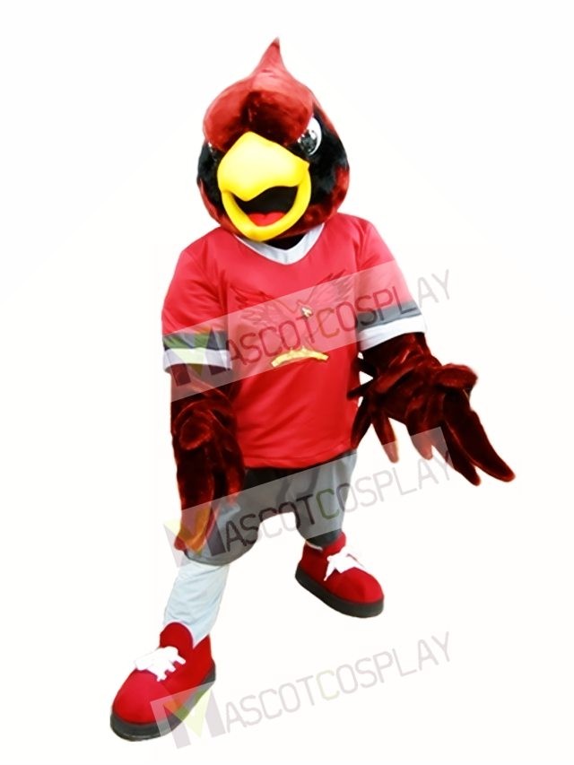 hawk mascot costume
