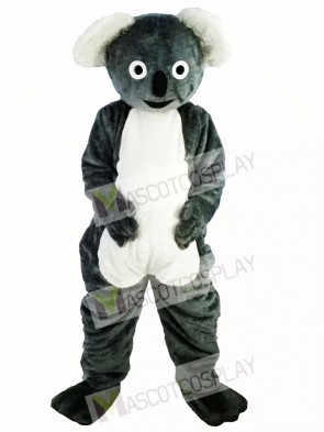 Cute Gray Koala Mascot Costume
