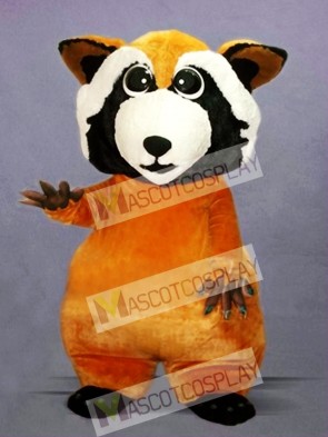 Little Cute Raccoon Mascot Costume