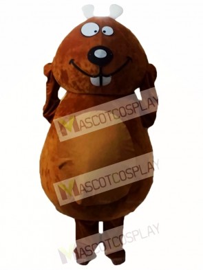 Brown Beaver Mascot Costumes 