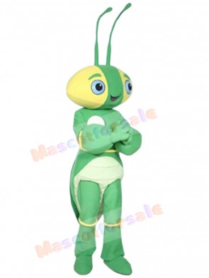 The Manty Mantis mascot costume