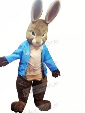 High Quality Peter Rabbit Mascot Costumes Cartoon