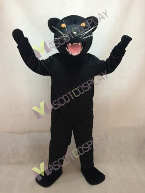 University of Pittsburgh Black Roc the Panther Puma Concolor Mascot Costume