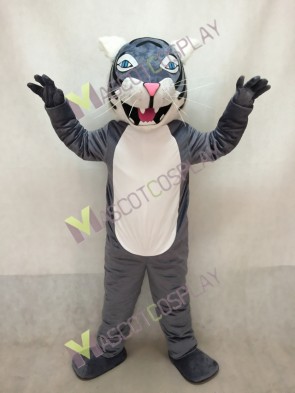 Gray Wildcat Mascot Costume with Blue Eyes