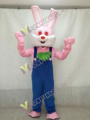 Robbie Rabbit Mascot Adult Costume 