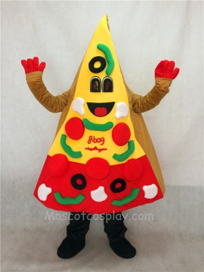 A Slice of Pizza Mascot Costume