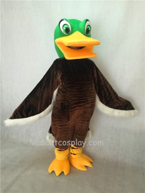 Green Head Brown Mallard Duck Mascot Costume