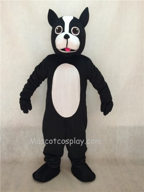 Black Boston Terrier Dog Mascot Costume