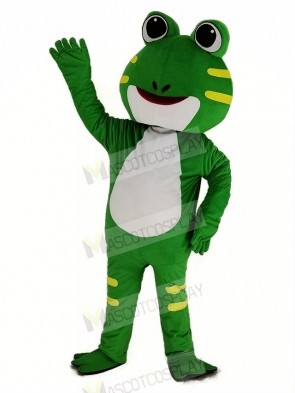 Cute Green Frog Mascot Costume