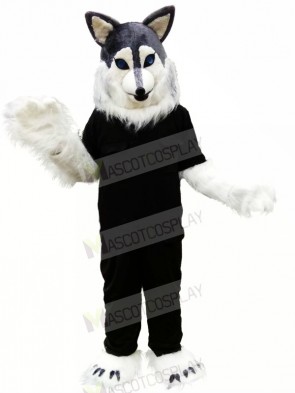 Wolf Husky in Black T-shirt Mascot Costume Animal