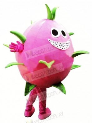 Dragon Fruit Pitaya Mascot Costume Cartoon