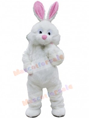 Rabbit mascot costume