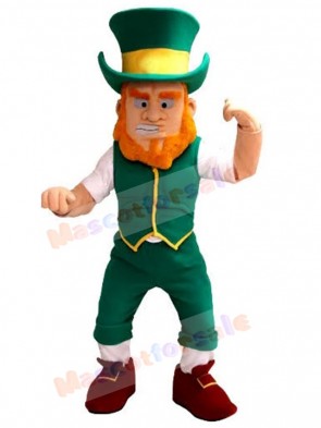 Leprechaun mascot costume