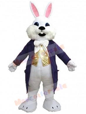Easter Bunny mascot costume