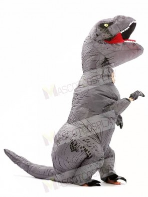 Grey Gray T-REX Dinosaur Inflatable Halloween Christmas Costumes for Kids