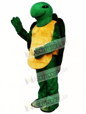 Pond Turtle Mascot Costume