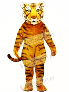 Cute Tiger Ted Mascot Costume