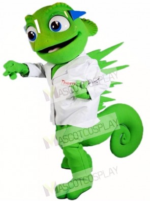 Chameleon Mascot Costumes Lizard Iguana